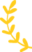 counter-one-shape-1